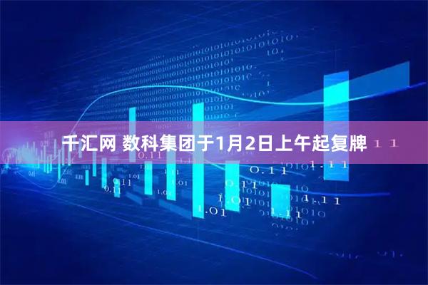 千汇网 数科集团于1月2日上午起复牌