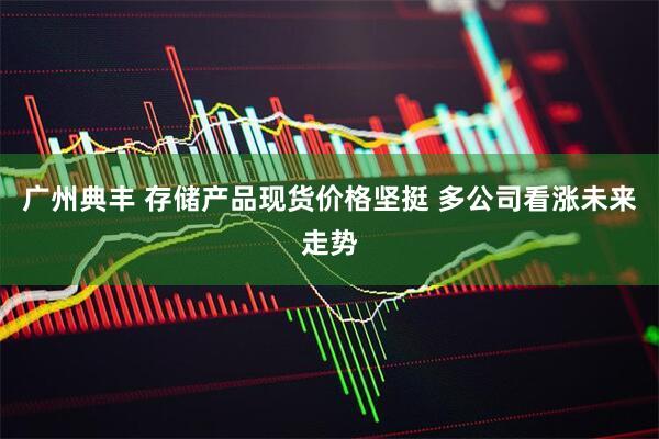 广州典丰 存储产品现货价格坚挺 多公司看涨未来走势