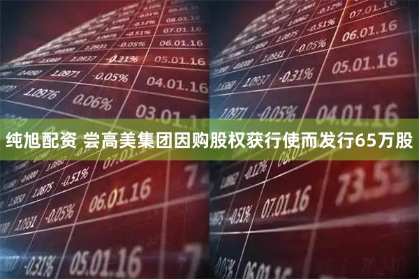 纯旭配资 尝高美集团因购股权获行使而发行65万股