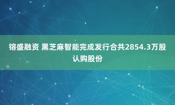 镕盛融资 黑芝麻智能完成发行合共2854.3万股认购股份